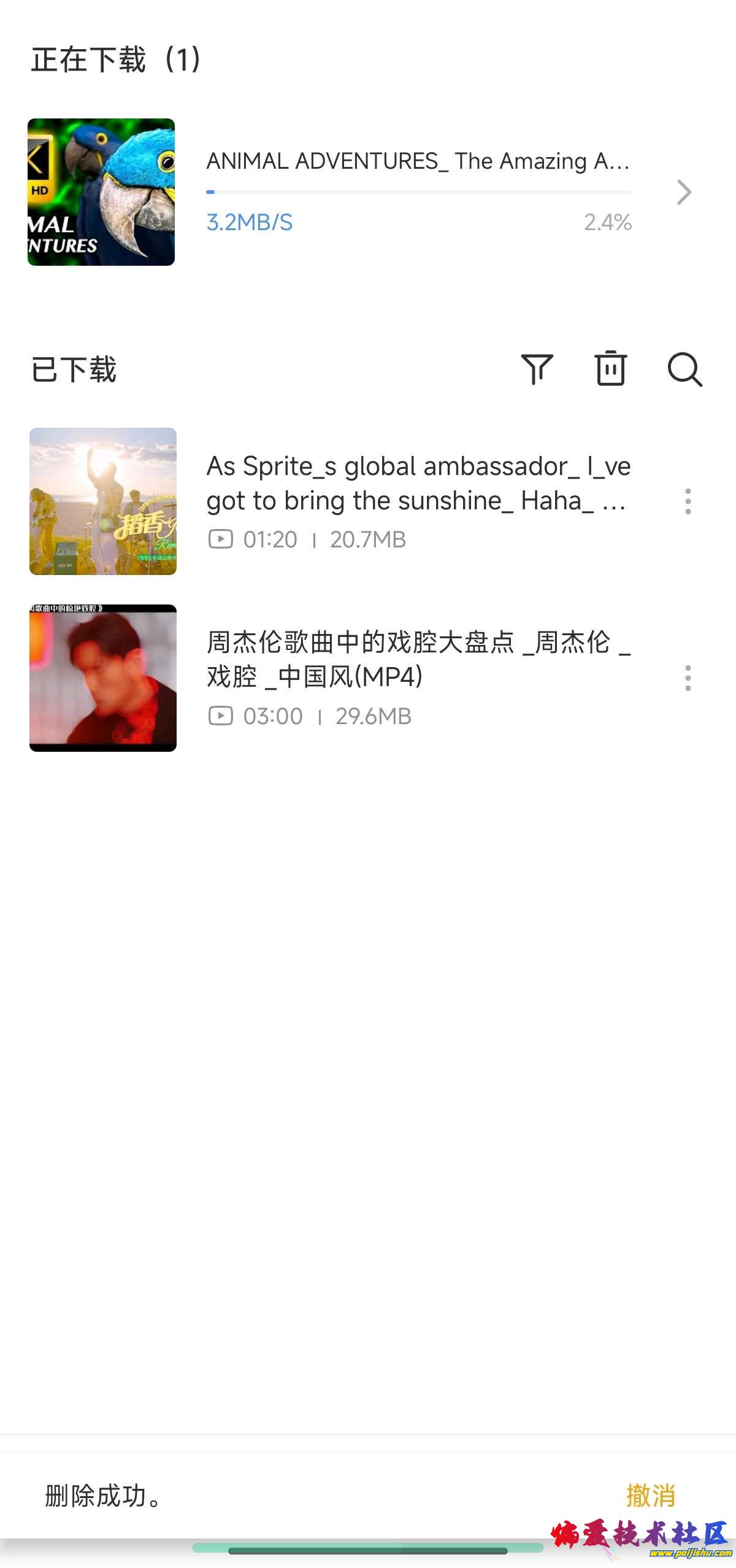 1000017353.jpg