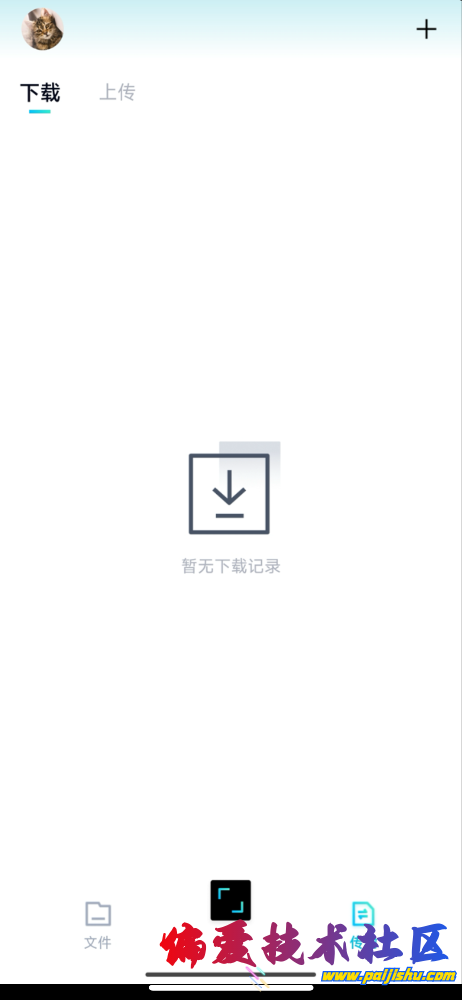 IMG_9479.png