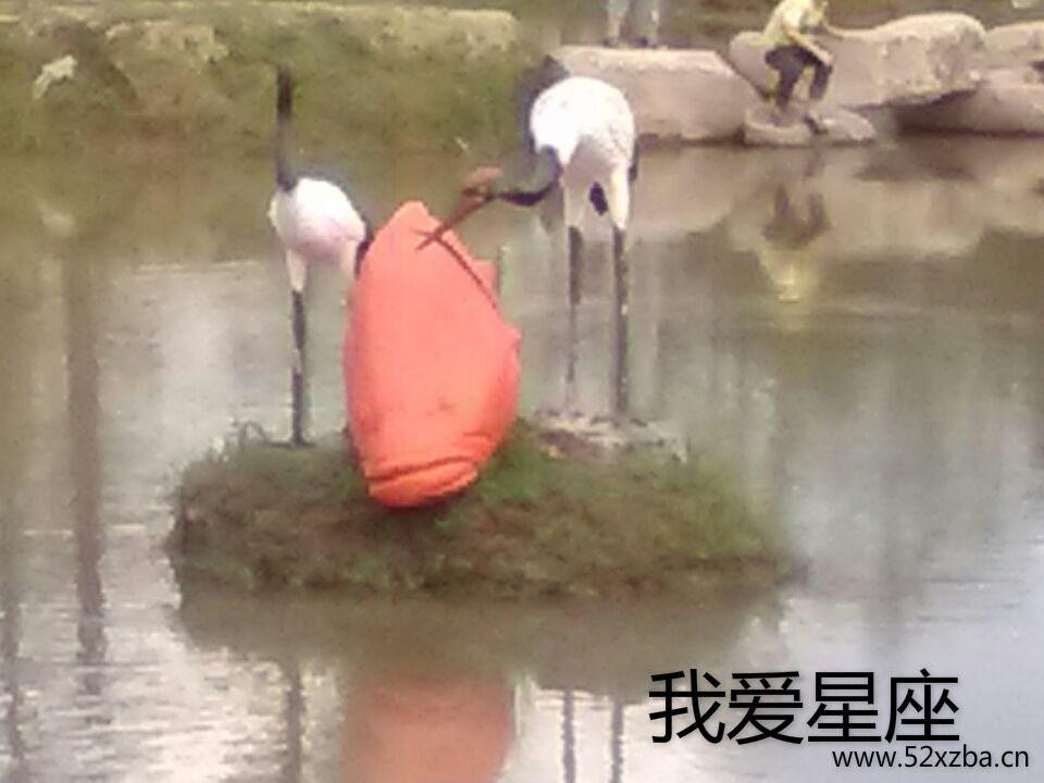 QQ图片20151122190836.jpg