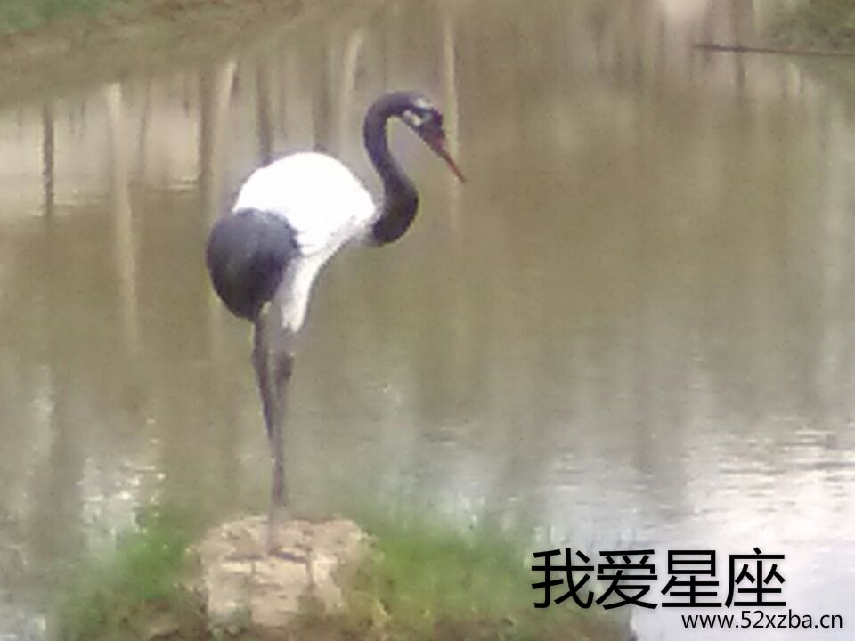 QQ图片20151122190836.jpg